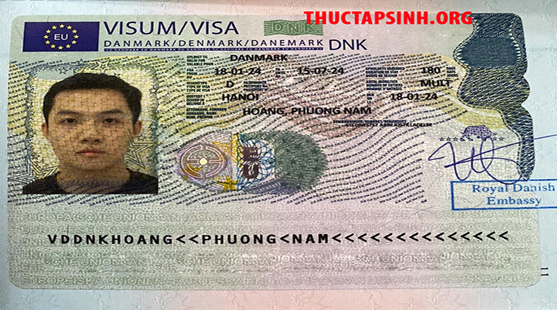 THỰC TẬP SINH ĐAN MẠCH