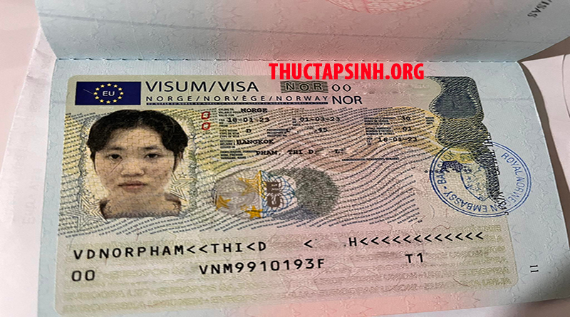 LAO ĐỘNG THỜI VỤ-PHẠM THỊ DIỆU LINH