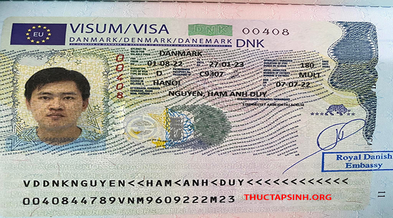 THỰC TẬP SINH ĐAN MẠCH-NGUYỄN HÀM ANH DUY