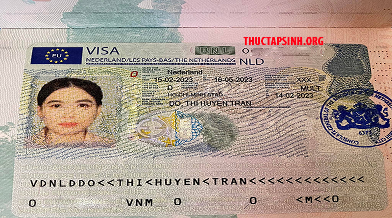 THỰC TẬP SINH HÀ LAN-ĐỖ THỊ HUYỀN TRÂN