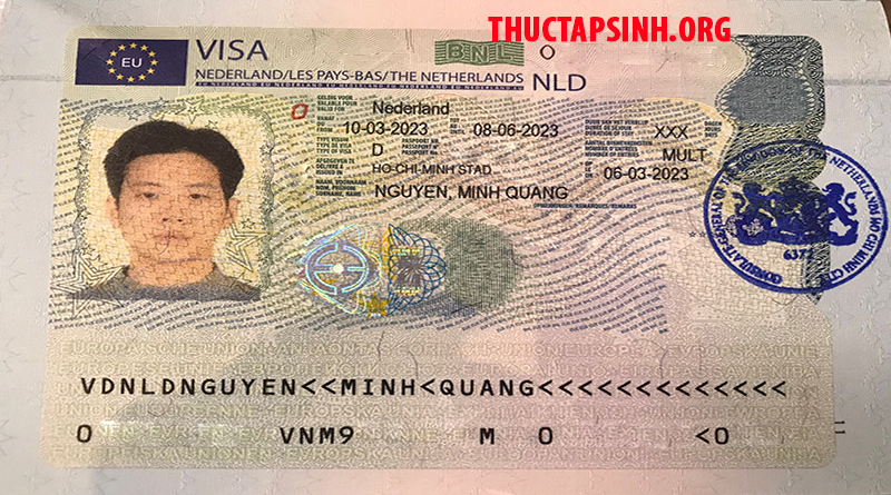 THỰC TẬP SINH HÀ LAN-NGUYỄN MINH QUANG