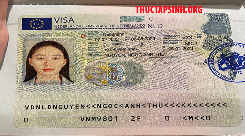 THỰC TẬP SINH HÀ LAN-NGUYỄN NGỌC ANH THƯ