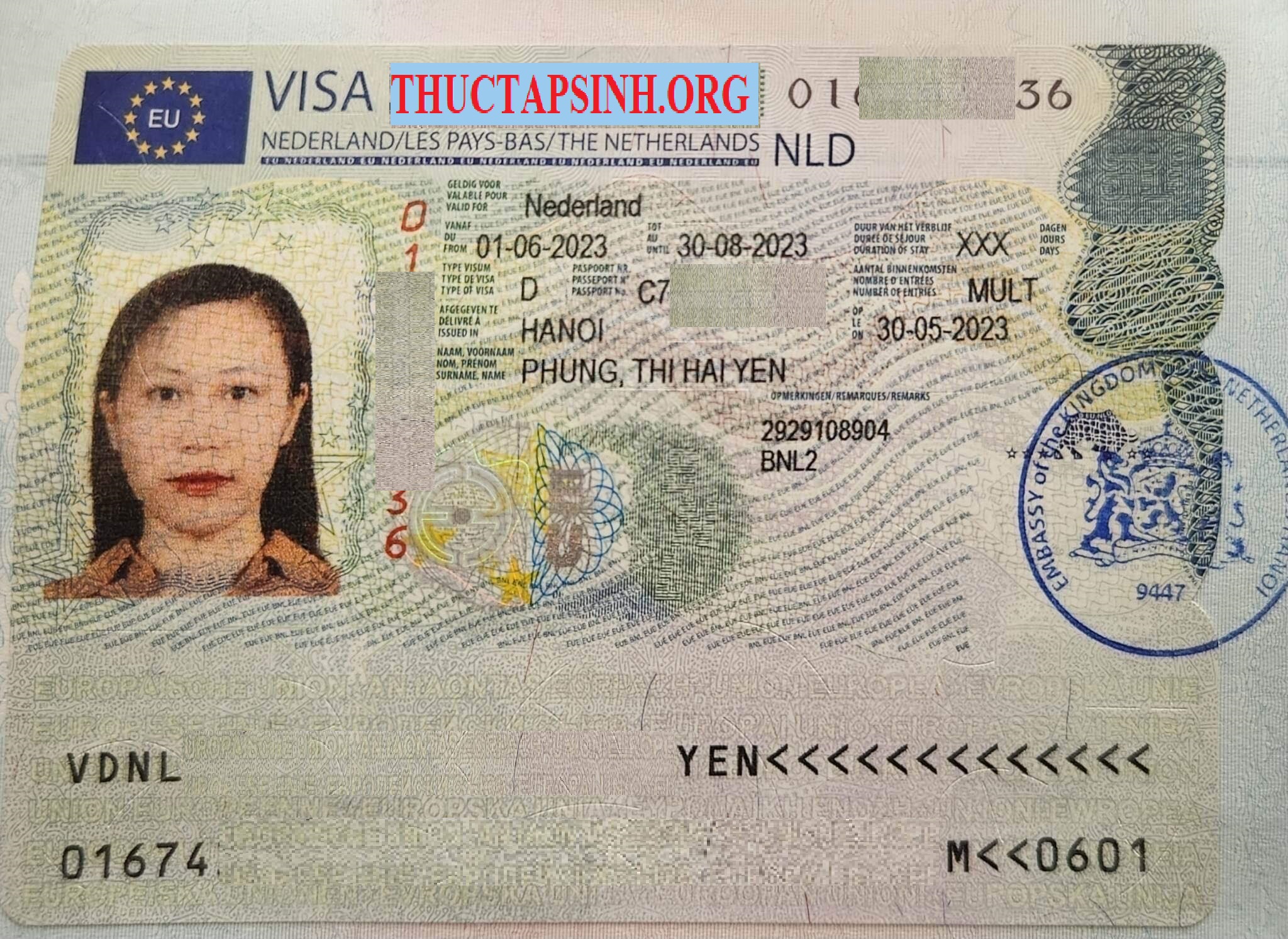 THỰC TẬP SINH HÀ LAN- PHÙNG THỊ HẢI YẾN