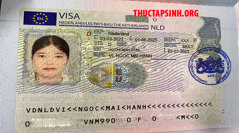 THỰC TẬP SINH HÀ LAN-VI NGỌC MAI HẠNH