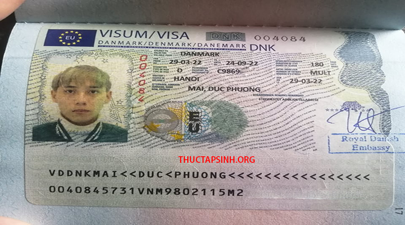 VISA ĐAN MẠCH MAI ĐỨC PHƯƠNG