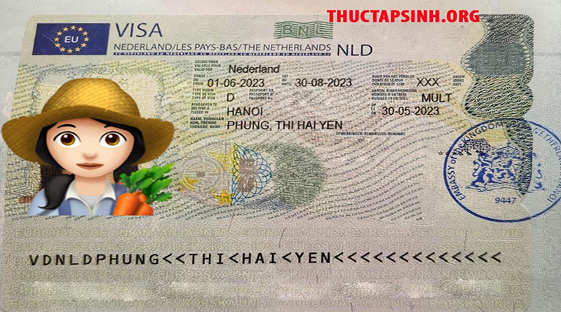 Visa Thực tập sinh Hà Lan-Phùng Thị Hải Yến