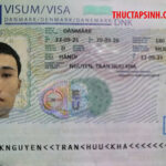 THỰC TẬP SINH ĐAN MẠCH-TRẦN NGUYỄN HỮU KHA