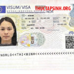 LAO ĐỘNG THỜI VỤ NAUY-LÔ THỊ BÌNH