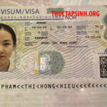 LAO ĐỘNG THỜI VỤ-PHẠM THỊ HỒNG HIẾU