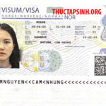 LAO ĐỘNG THỜI VỤ NAUY-NGUYỄN CẨM NHUNG