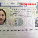 LAO ĐỘNG THỜI VỤ NAUY-LÊ THỊ QUYÊN