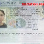 SKILL WORKER 18B ĐỨC-NGUYỄN THƯƠNG THƯƠNG